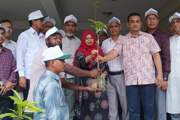 মাটিরাঙ্গায় জাতীয় পল্লী উন্নয়ন দিবস পালন