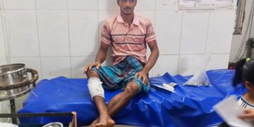 কাপ্তাইয়ে বন্য হাতির আক্রমণে আহত দিনমজুর