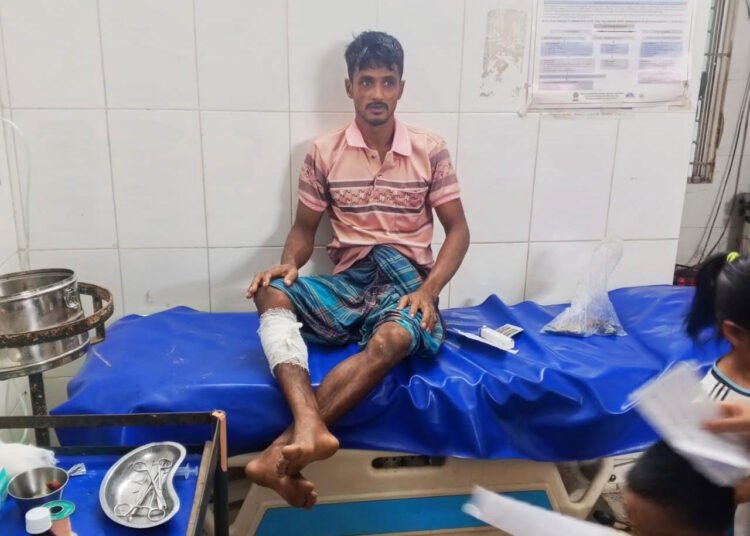 কাপ্তাইয়ে বন্য হাতির আক্রমণে আহত দিনমজুর