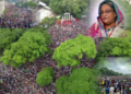কোটা আন্দোলন থেকে সরকার পতন শেষ ৭২ ঘণ্টার নাটকীয় ঘটনাপ্রবাহ